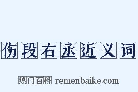 伤段右丞近义词是什么意思的图片